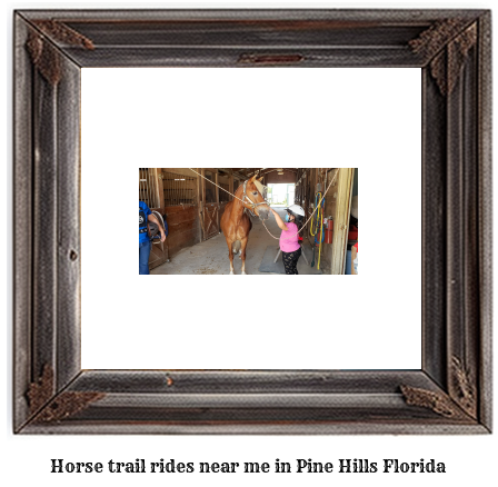 horse trail rides near me in Pine Hills, Florida